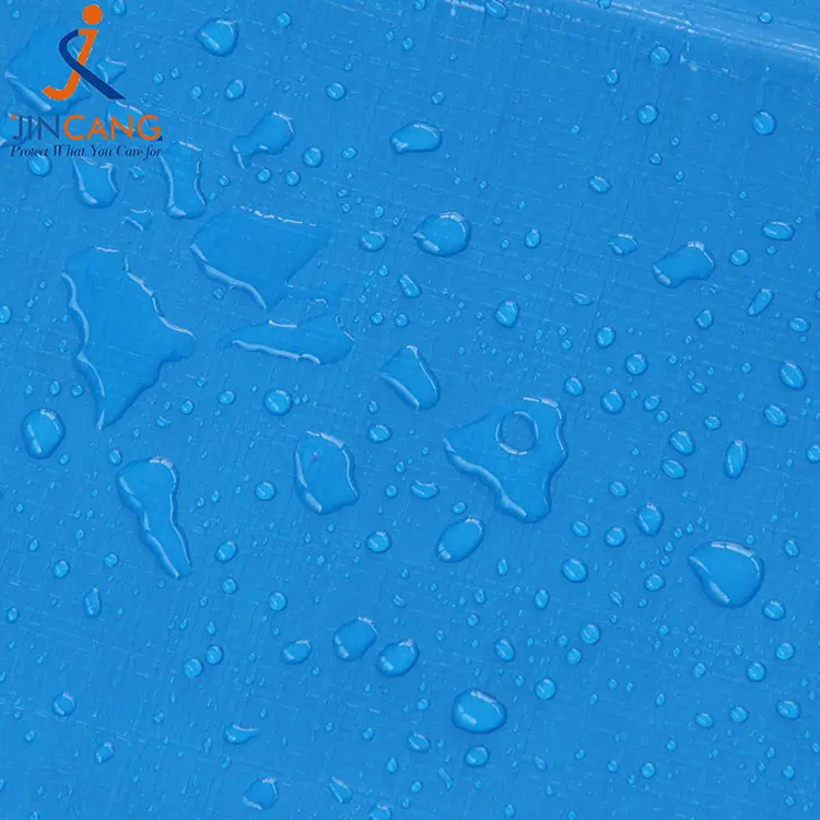 220g Blue Blanc avec imprimé PE Tarpaulin
