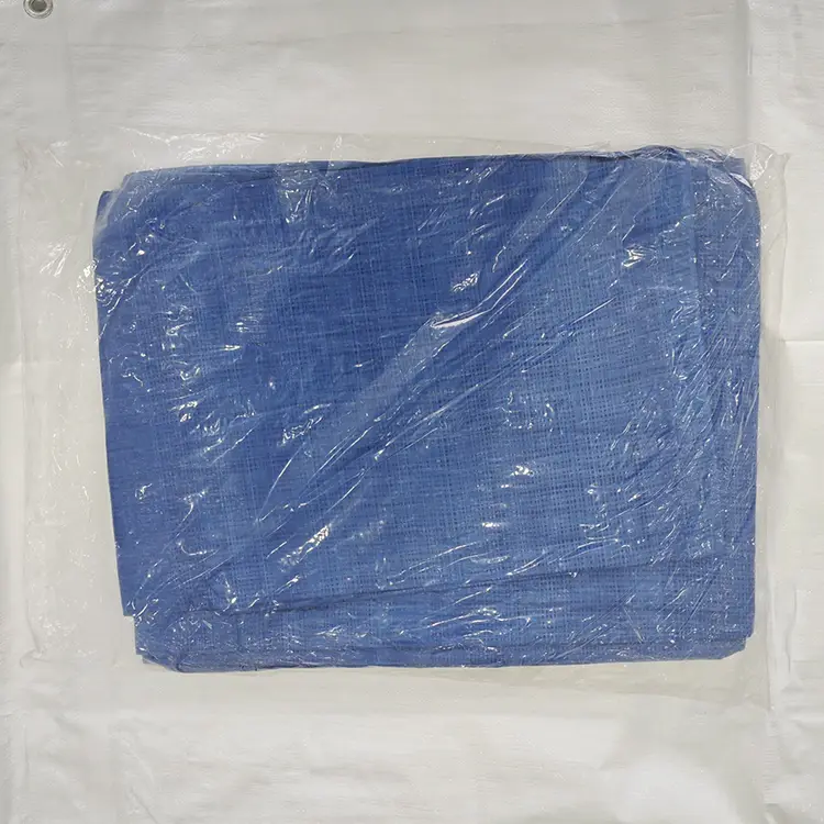 Bâche PE bleue 60g