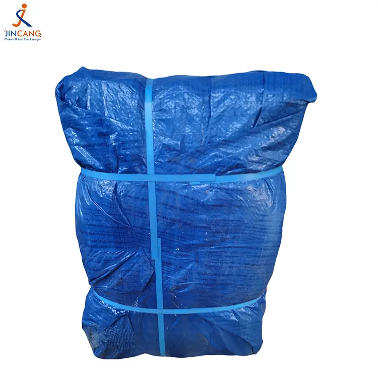 Tarpaulin Blue 60G Blue