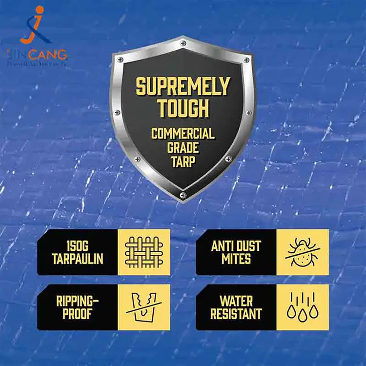 Couvoirs de matelas PE pour le déplacement et le stockage