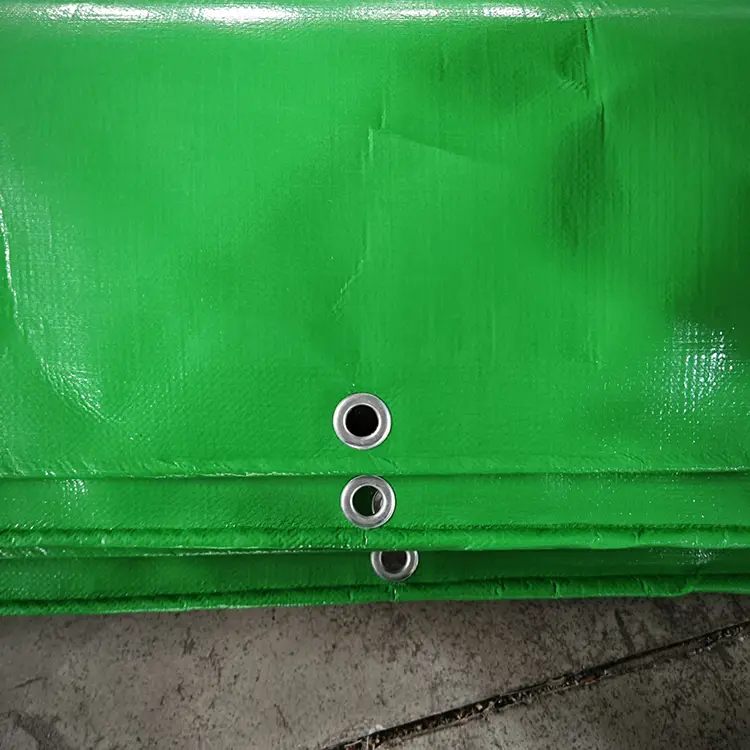 Bâche verte d'herbe de PE de Vierge de 300 GM/M