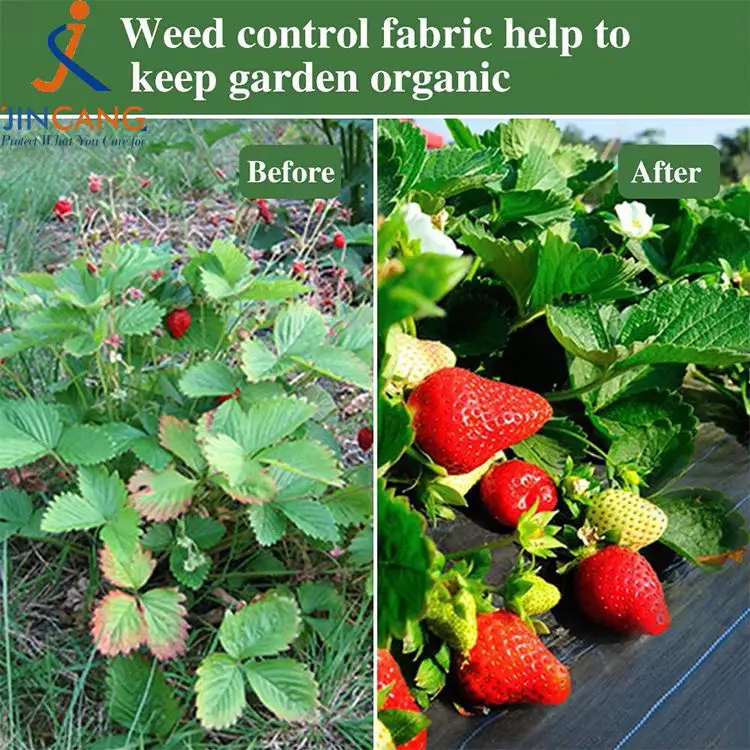 Tapis de tissu de contrôle des mauvaises herbes