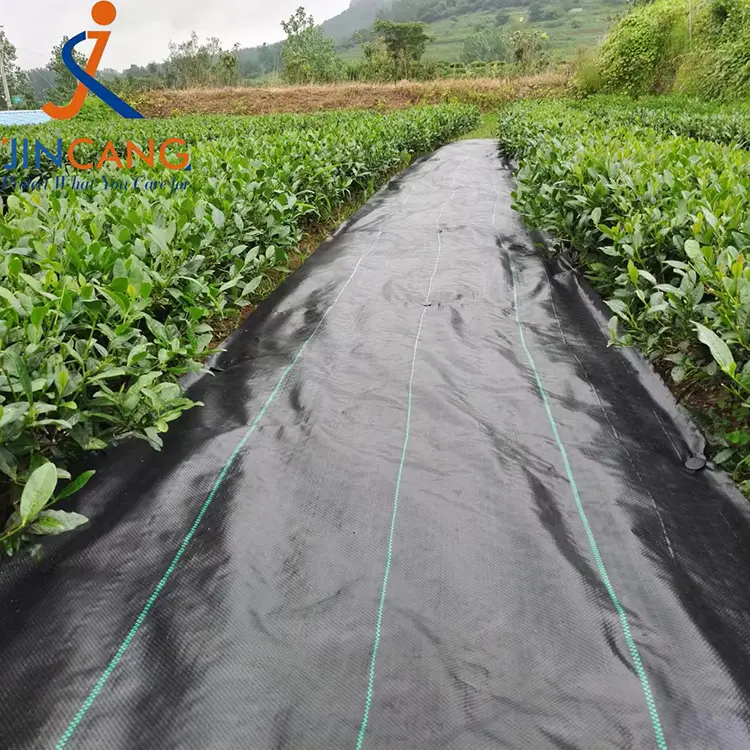 Tapis de tissu de contrôle des mauvaises herbes