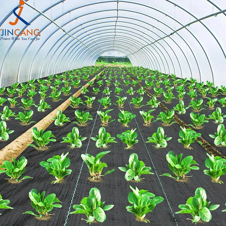 Tapis de tissu de contrôle des mauvaises herbes