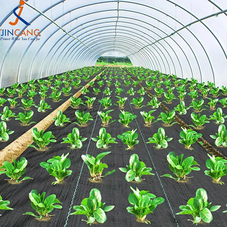 Barrière d'herbe géotextile Barrière noir barrière de barrière de barrière