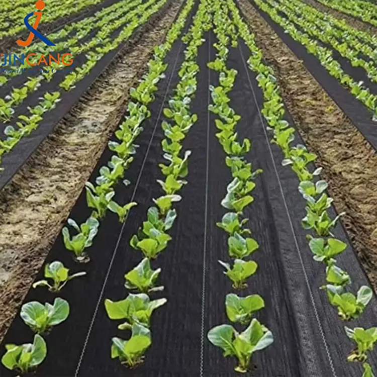 Tissu anti-mauvaises herbes pe tissé du jardin des mauvaises herbes