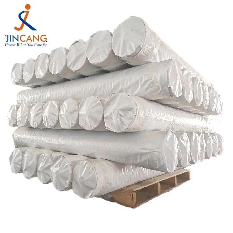 Roll blanc PE Tarpaulin
