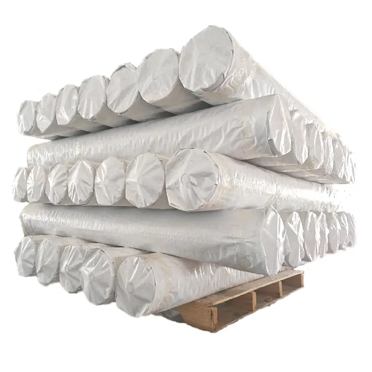 Roll blanc PE Tarpaulin